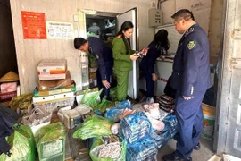 Thanh Hóa thu giữ 1,1 tấn thực phẩm không rõ nguồn gốc