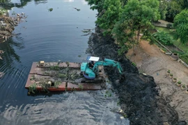 Hình ảnh chỉ mang tính chất minh họa. Ảnh: Nam Anh