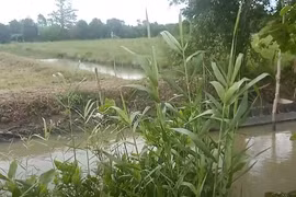 Một đoạn tuyến kênh Xẻo Muồng