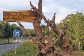 Vườn Quốc gia Phú Quốc