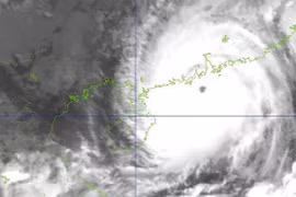 Theo dự báo của Trung tâm dự báo khí tượng thủy văn quốc gia, trong ngày 25/9 bão có thể đổ bộ trực tiếp vào đất liền nước ta tại khu vực từ Quảng Ninh đến Hà Tĩnh; cấp độ rủi ro thiên tai: cấp 4.