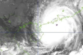 Theo dự báo của Trung tâm dự báo khí tượng thủy văn quốc gia, trong ngày 25/9 bão có thể đổ bộ trực tiếp vào đất liền nước ta tại khu vực từ Quảng Ninh đến Hà Tĩnh; cấp độ rủi ro thiên tai: cấp 4.