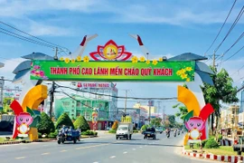 Ảnh chỉ mang tính chất minh họa.