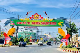 Ảnh chỉ mang tính chất minh họa.