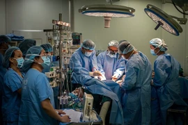 Một ca ghép tạng tại Bệnh viện Hữu nghị Việt Đức.