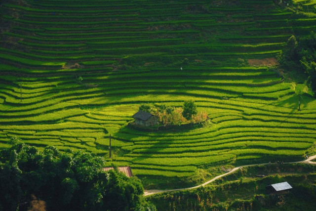 Ảnh Tuyên Parafu ban-y-linh-ho.jpg