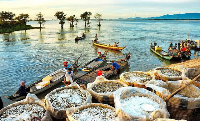 Trải nghiệm độc đáo chợ nổi. Ảnh luhanh tour-mua-nuoc-noi.jpg
