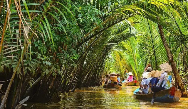 Những hàng dừa Bến Tre xanh mướt - Ảnh MIA 2434c98de2496b173258.jpg