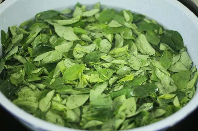 Ảnh minh hoạ rau-ngot.jpg