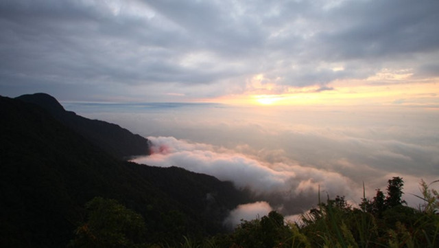Đỉnh Rùng Rình – trekking săn mây. Ảnh VnTrip dinh-rung-rinh.jpg