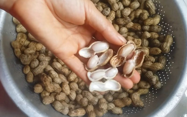Cách luộc lạc chuẩn đầu bếp bở, thơm, căng mọng, ăn là mê. Ảnh minh họa lac-luoc.jpg