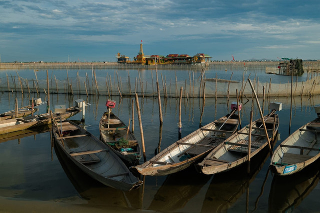 Ảnh Trường Bùi dam-chuon.jpg