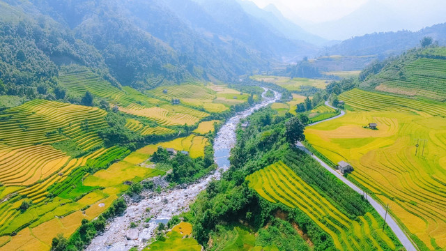 Sa Pa mùa lúa chín vàng rực, ruộng bậc thang uốn lượn cùng bản làng núi rừng tạo nên những góc sống ảo tuyệt đẹp, không thể bỏ lỡ. Ảnh Bùi Ngọc Lâm mua-lua-sapa.jpg