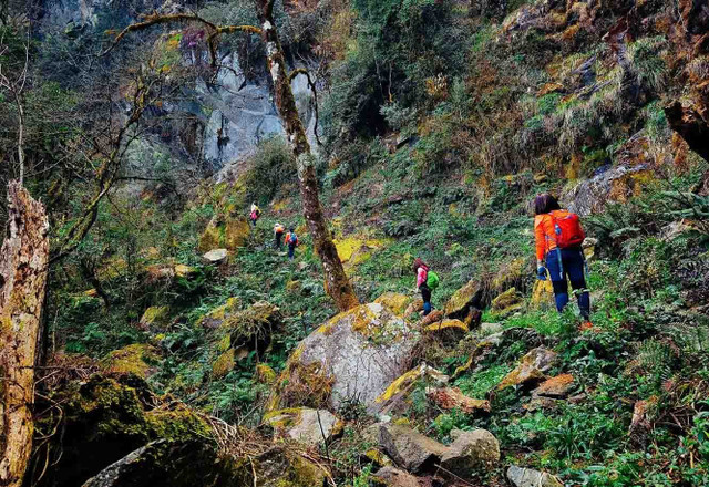 Ảnh Nguyễn Trọng Cung trekking-mua-mua.jpg