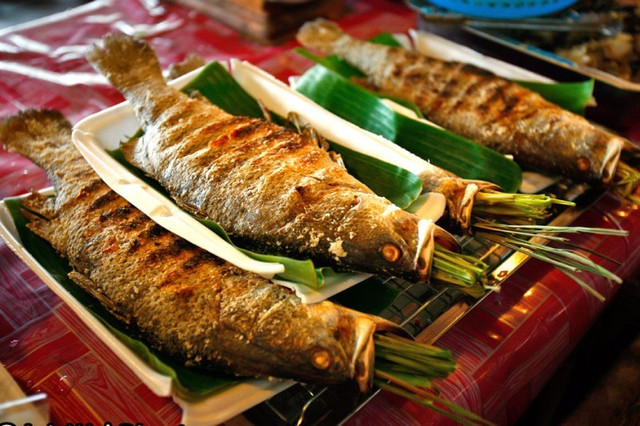 Ẩm thực Mộc Châu mùa thu cũng là trải nghiệm không thể thiếu. Bê chao vàng ruộm thơm lừng, cá suối nướng giòn tan trên than hồng, cải mèo xanh mướt xào tỏi, cơm lam thơm mùi nếp mới, cùng sữa chua và sữa tươi nguyên chất, tất cả hòa quyện tạo nên bữa ăn đậm chất núi rừng. Ảnh MIA ca-suoi-nuong-gio.jpg