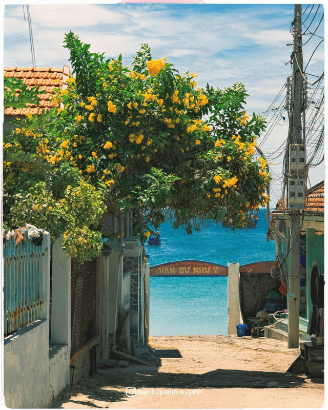 Ảnh Quang Anh nha-trang1.jpg