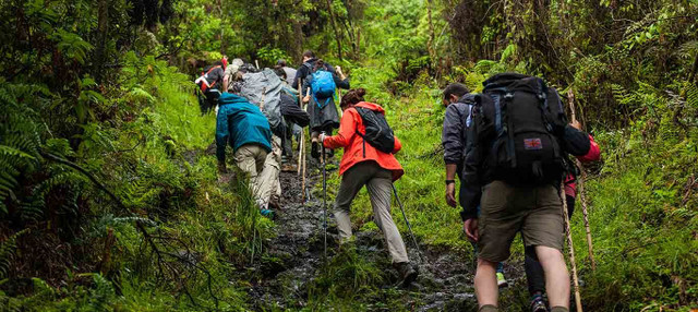 Ảnh Elitetour trekking.jpg