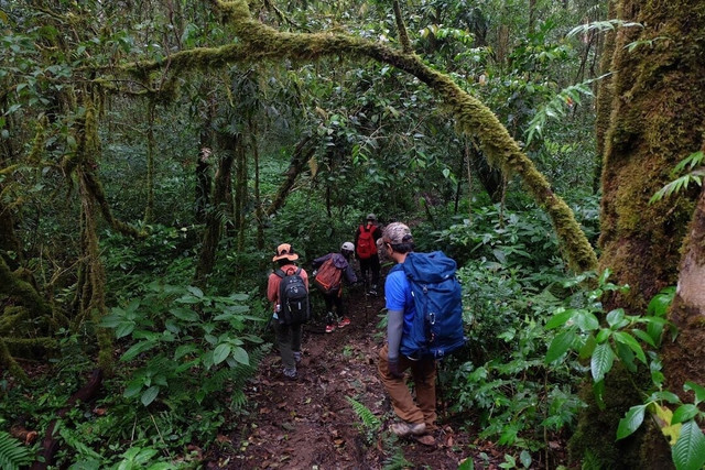Ảnh Tổ ong trekking-an-toan.jpg