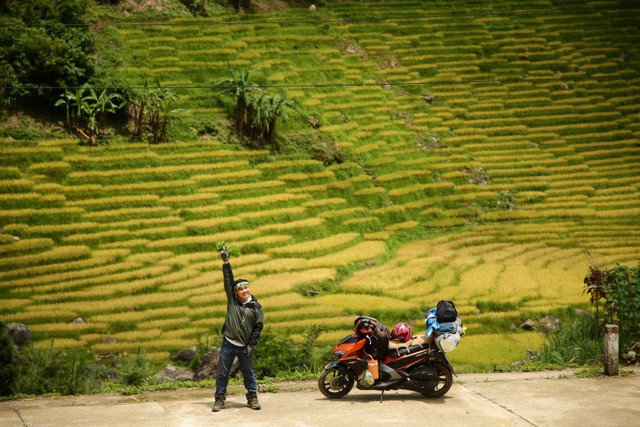 Mùa vàng trên dãy Ngọc Linh. Ảnh Thanh Tuấn mua-vang3.jpg