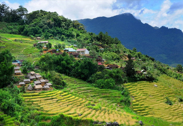 Chon von trên đỉnh đồi là những ngôi làng của bà con dân tộc Xơ Đăng. Ảnh Dantocvaphattrien mua-vang12.jpg
