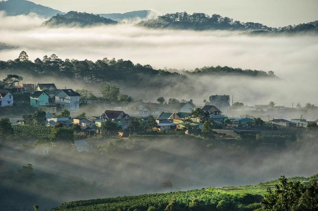 Ảnh Vinwonders da-lat-mua-mua.jpg
