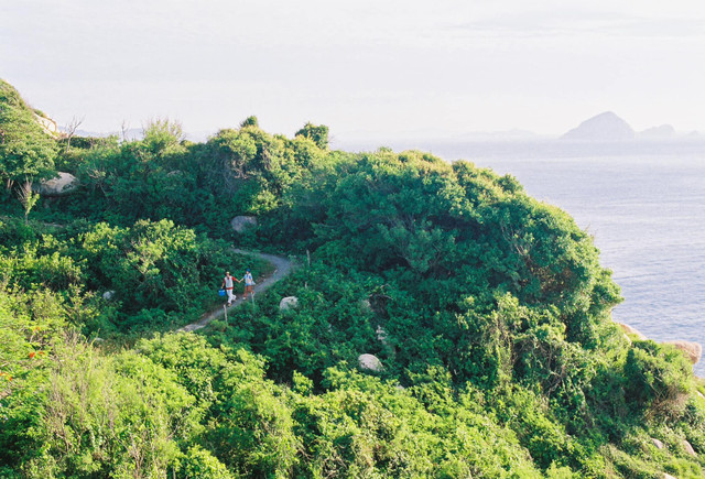 Ảnh Hải dao-bich-dam2.jpg