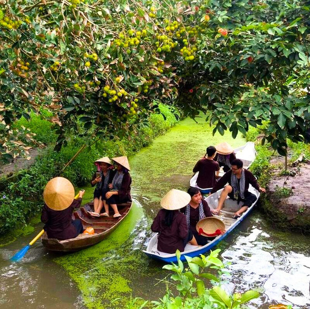 Trải nghiệm hái trái cây tại vườn - Ảnh MIA hai-trai-cay.jpg