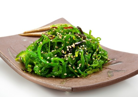Ảnh minh họa rong-bien-tron.jpg