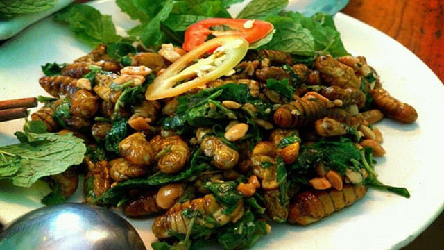 Ảnh minh họa mon-nhong-tam-xao-al-lot.jpg