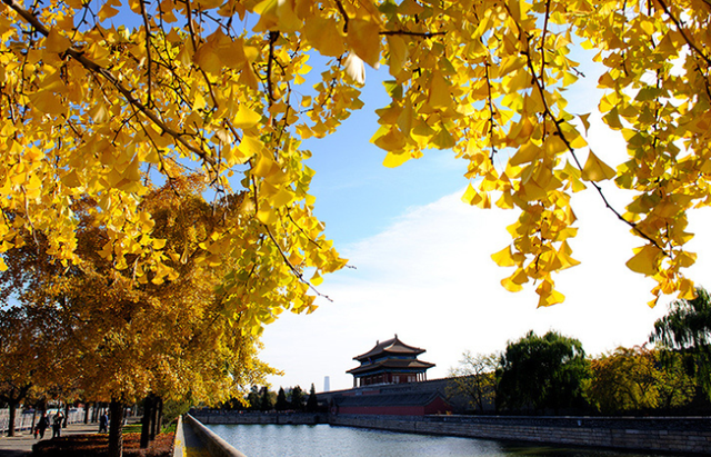 Ảnh Vietland Travel mua-thu-bac-kinh.png
