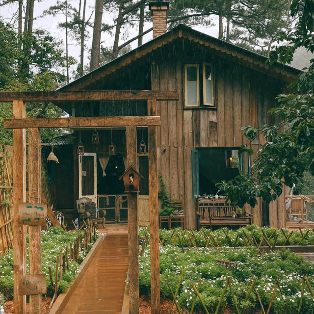 Ảnh Trần Văn Thế cf.jpg