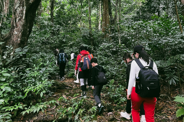 Bí kíp khám phá Vườn Quốc gia Cúc Phương tránh rủi ro cho du khách. Ảnh Umoveadventure cuc-phuong-1.png