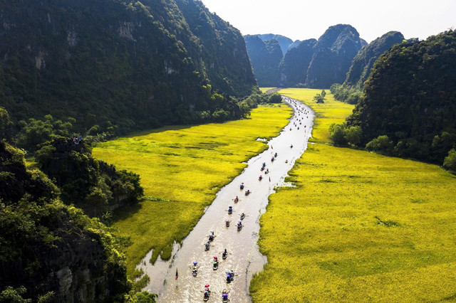 Tam Cốc – Thung lũng vàng óng, điểm check-in lý tưởng dịp lễ. Ảnh Phạm Ngọc Thạch 5fe4f764e34b6b15325a.jpg