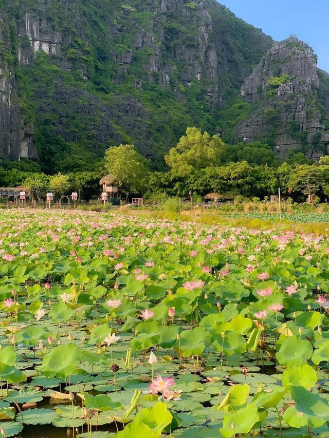 Ảnh FBNV ninh-binh2.jpg
