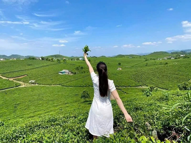 Ảnh Sinhtour 3e74307d55fbe1a5b8ea.jpg