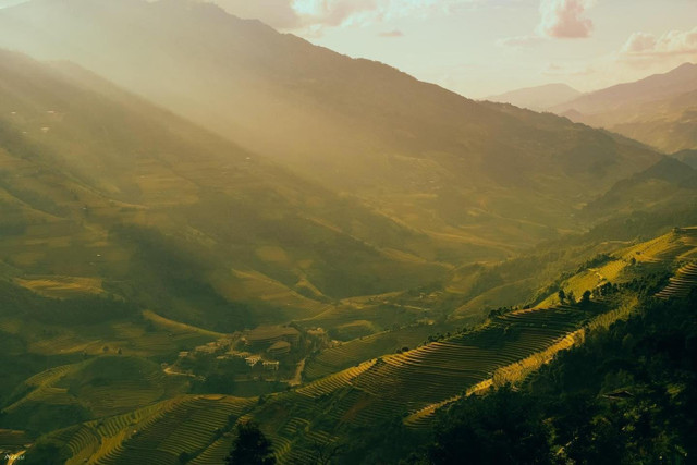 Mù Cang Chải vào mùa lúa chín, ruộng bậc thang vàng óng như tranh vẽ - Ảnh Check-in Việt Nam anh-1.jpg