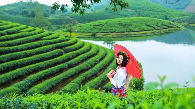 Ảnh Traveloka a6f69c225d1ed4408d0f.jpg