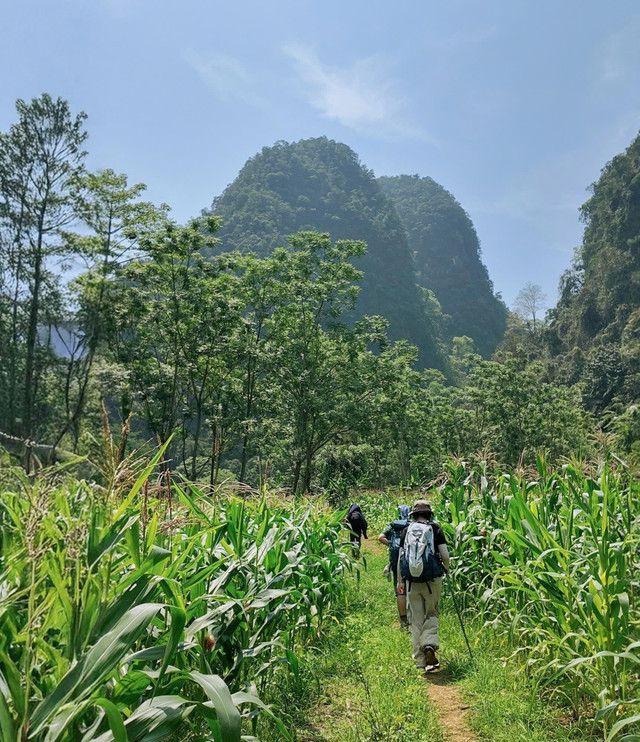 Ảnh Tổ ong adventure trekking-da-bac1.jpg