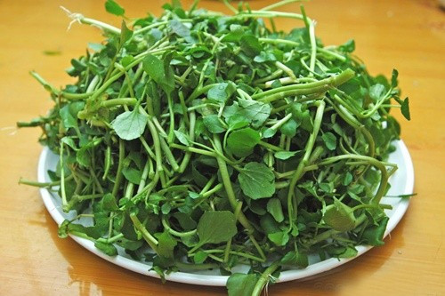 Ảnh minh họa rau-cai-xoong.jpg