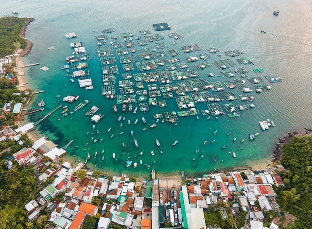 Làng chài Trí Nguyên "điểm dừng chân dễ đi, khó quên" khiến du khách mê mẩn. Ảnh luhanhvietnam lang-chai-hon-mieu.jpg