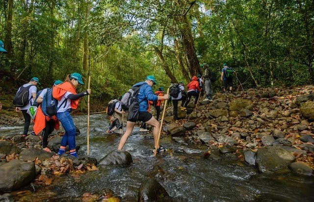 Một số nguy cơ như lũ quét, sạt lở ở rừng vào mùa mưa, bạn trẻ đi trekking, leo núi cần chú ý. Ảnh Tố Ny b57cd6d72dafa4f1fdbe.jpg