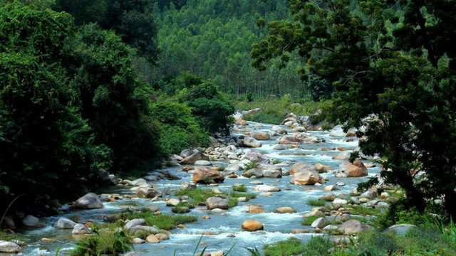 Ảnh dulich suoi-da-giang.jpg