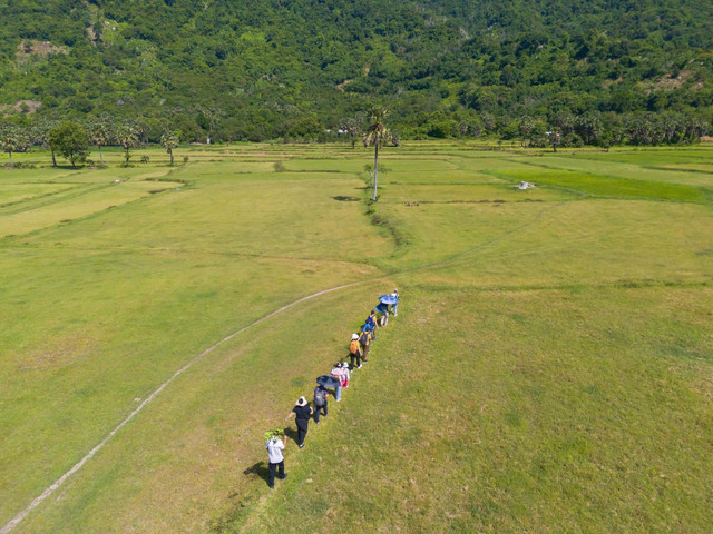 trekking-nui-cam2.jpg