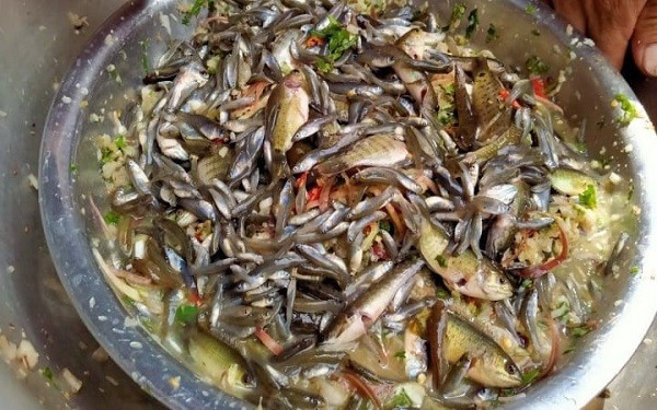 Gỏi cá nhảy đặc sản lạ lùng của người Thái ở Sơn La. Ảnh Baophunuvietnam goi-ca.jpg