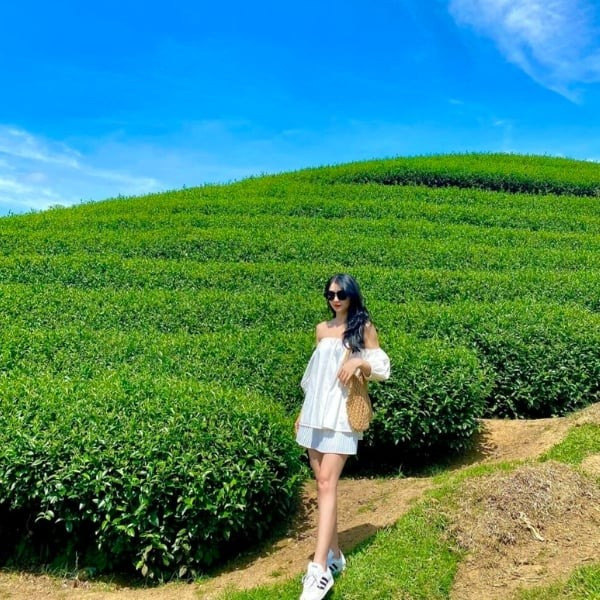 Du lịch Mộc Châu mùa hè. Ảnh Maison moc-chau.jpg