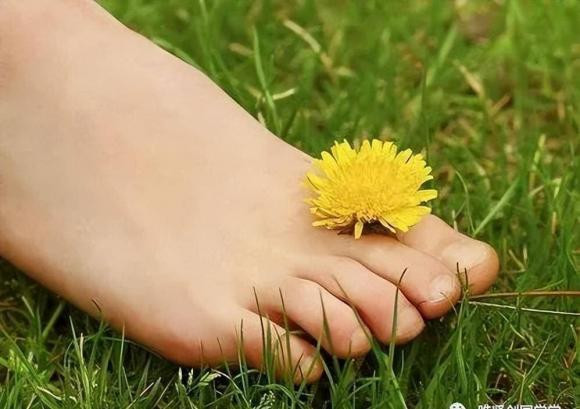 Tại sao nói "đàn bà nhìn chân, đàn ông nhìn tay" để biết giàu nghèo - Hình 2 Tai sao noi