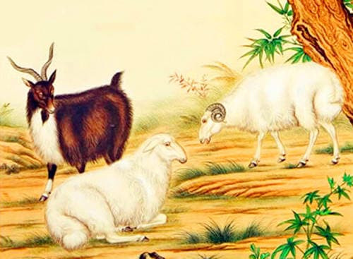 3 con giáp khởi sắc tháng 6, đại hỷ tháng 8, thịnh vượng nửa cuối năm 3 con giap khoi sac thang 6, dai hy thang 8, thinh vuong nua cuoi nam
