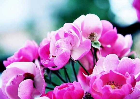Phúc khí của một người dày hay mỏng, chỉ cần nhìn vào 3 điều này - Hình 2 Phuc khi cua mot nguoi day hay mong, chi can nhin vao 3 dieu nay-Hinh-2
