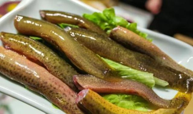 Loại cá tựa nhân sâm, phụ nữ ăn đẹp da bổ tạng, không sợ thiếu máu - Hình 3 Loai ca tua nhan sam, phu nu an dep da bo tang, khong so thieu mau-Hinh-3