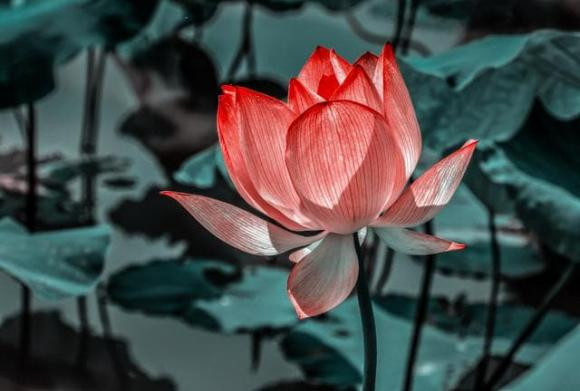 Ba thứ giúp bạn đối mặt với người không thích mình Ba thu giup ban doi mat voi nguoi khong thich minh